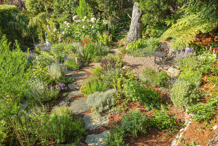 174-San-Carlos-Ave-Grounds-7