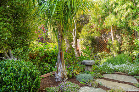 174-San-Carlos-Ave-Grounds