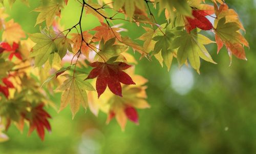 OC Housing Article September 2025