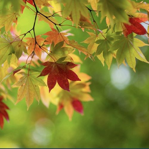 OC Housing Article September 2025