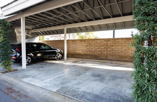 7291-Coho-Brian-Bogs-Luxury-Realtor-carport-1