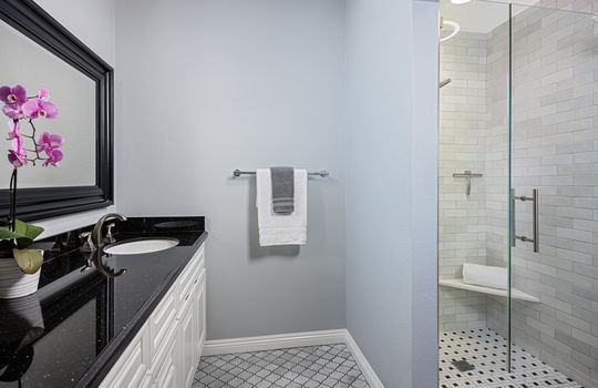 7291-Coho-Brian-Bogs-Luxury-Realtor-mbath2