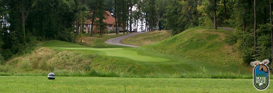 Timber Trace Golf Club Partners Real Estate Professionals P C 