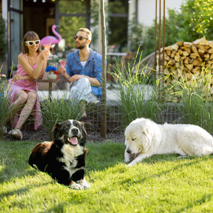 private fenced yard