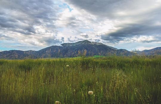 Swan Valley Idaho | Dakri Bernard Reality