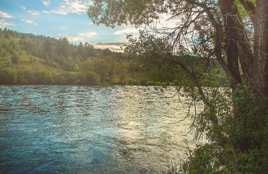 Swan Valley Idaho on The Snake River