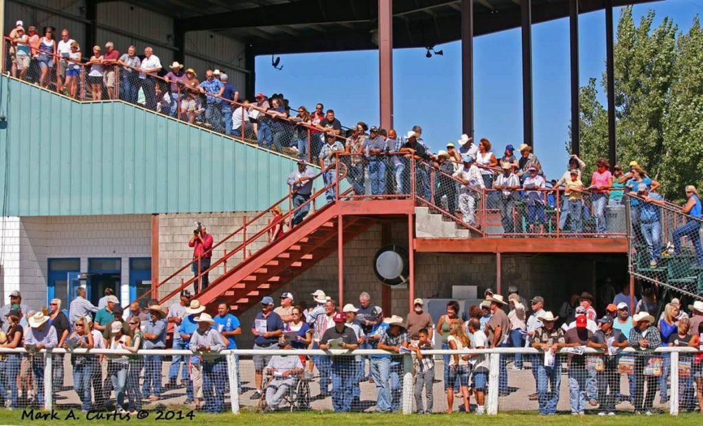 Sandy Downs Horse Racing