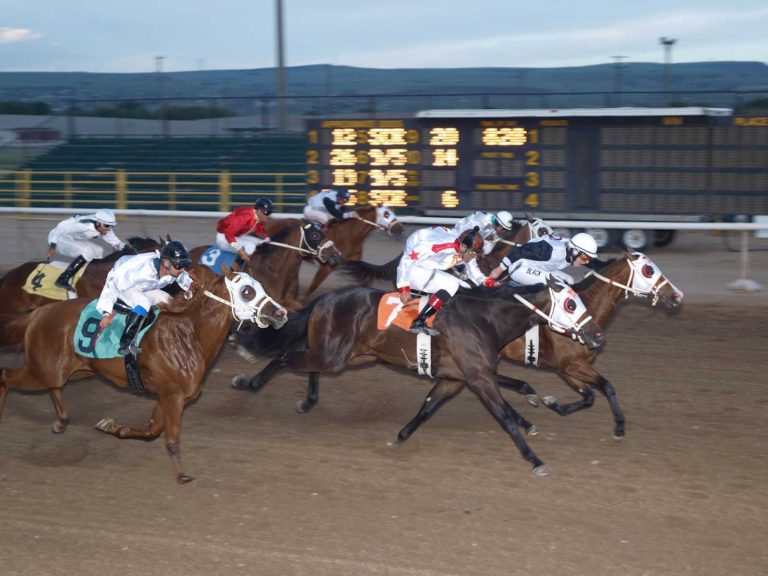 Sandy Downs Horse Racing