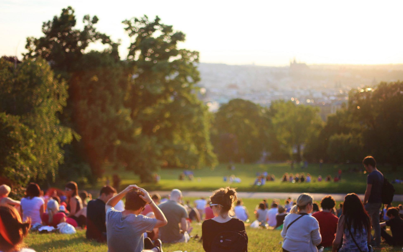 people in outdoor park