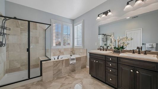 029_Primary Bathroom 1