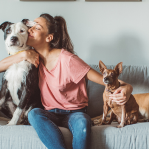 How Pets Are Shaping the Home Buying Market