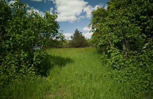 99 acres with waterfront on Amherst Island