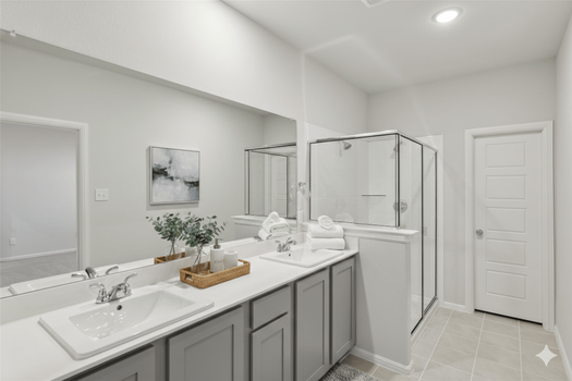Interior, bath, 9213 Wild Stampede Way, Crowley, Texas