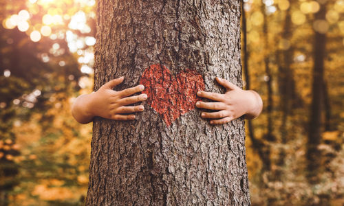 For the love of trees