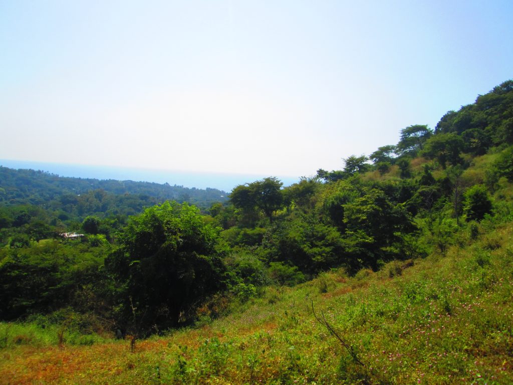 LA LIBERTAD/ EL SUNZAL El Salvador Surf Real Estate