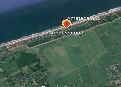 amatecampo