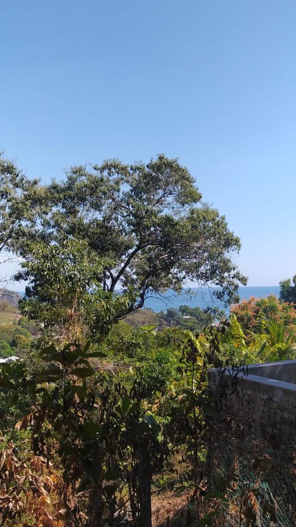 El Zonte Ocean view lot for sale 140,000 El Salvador Surf Real Estate