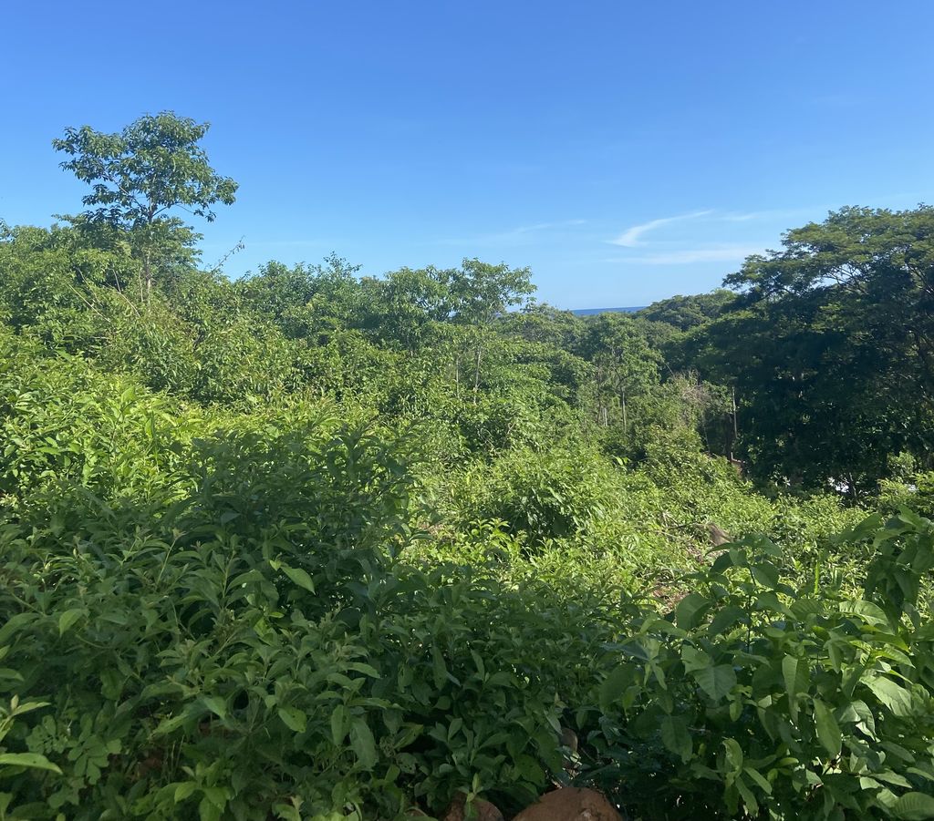 Ocean view Lot Punta Mango Area 300,000.00 El Salvador Surf Real Estate