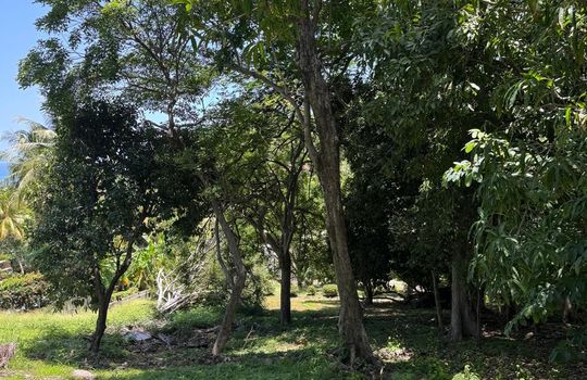 PHOTO-2025-08-11-18-00-08