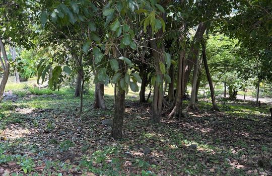 PHOTO-2025-08-11-18-00-08 10