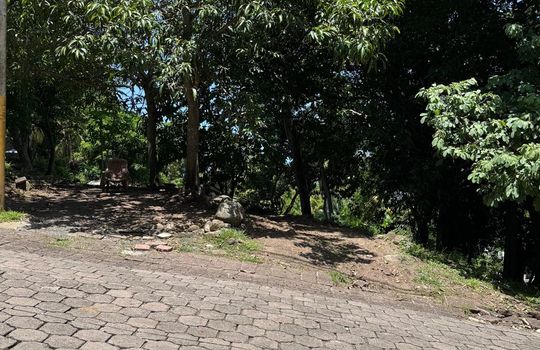 PHOTO-2025-08-11-18-00-08 11