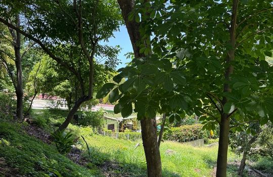 PHOTO-2025-08-11-18-00-08 3