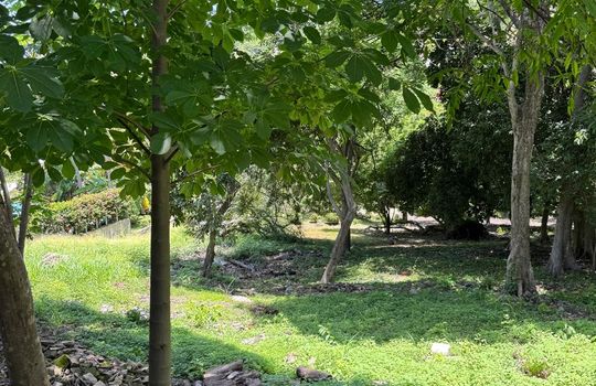 PHOTO-2025-08-11-18-00-08 4