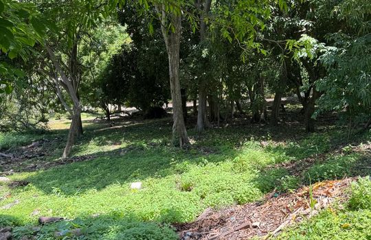 PHOTO-2025-08-11-18-00-08 5