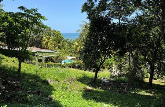 PHOTO-2025-08-11-18-00-08 6