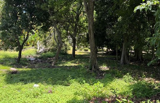 PHOTO-2025-08-11-18-00-08 7