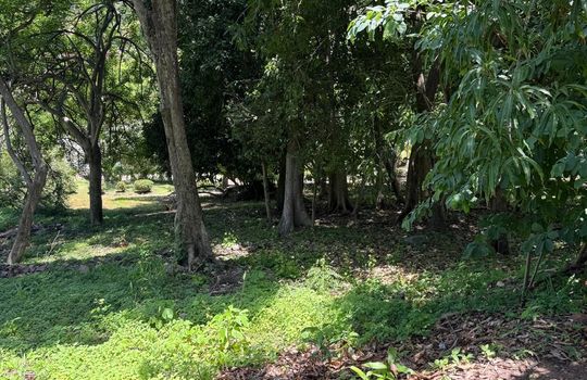 PHOTO-2025-08-11-18-00-08 8