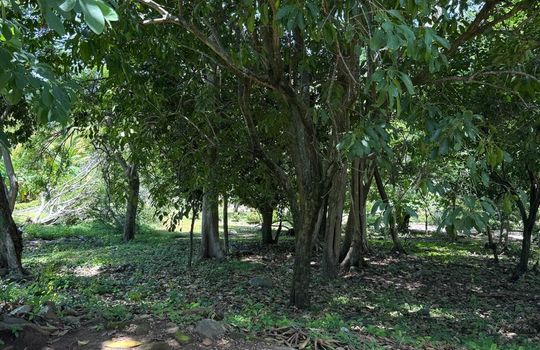 PHOTO-2025-08-11-18-00-08 9