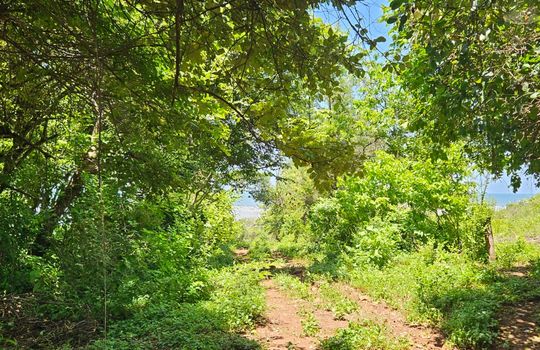 PHOTO-2025-08-25-12-21-37 4