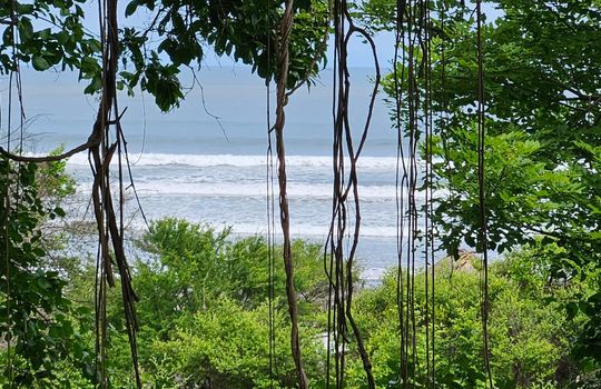 PHOTO-2025-08-25-12-21-39 11