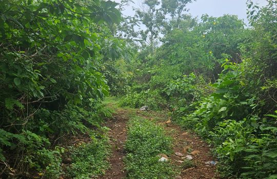 PHOTO-2025-08-25-12-21-39 8