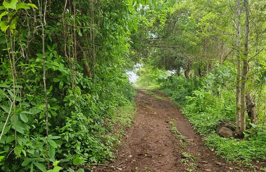 PHOTO-2025-08-25-12-21-39 9