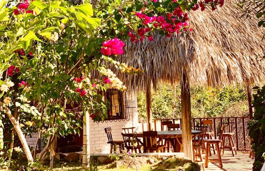 PHOTO-2026-01-06-21-28-17 3