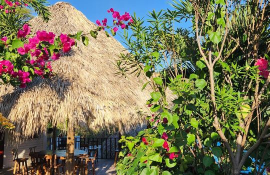 PHOTO-2026-01-09-08-03-04 2