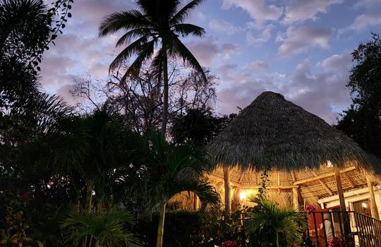 PHOTO-2026-01-09-08-03-08