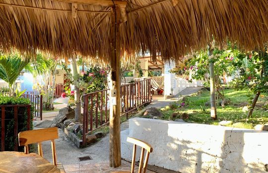 PHOTO-2026-01-09-08-03-11 5