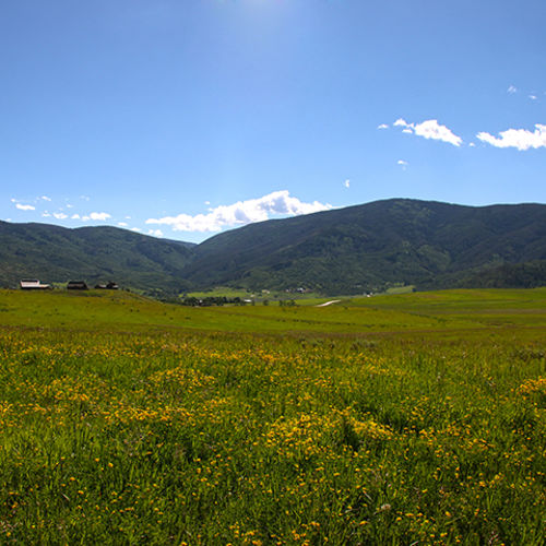 Steamboat Springs Real Estate - New Listing - 31725 County Road 14C