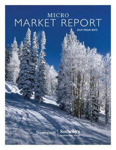 2018 Micro Market Report