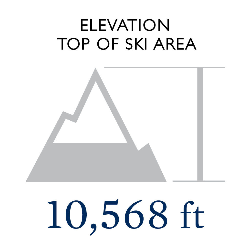 Elevation at The Top of The Ski Area: 10,568:
