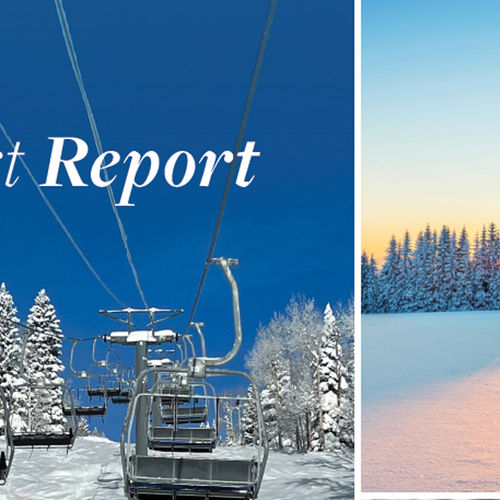 2022 Resort Report