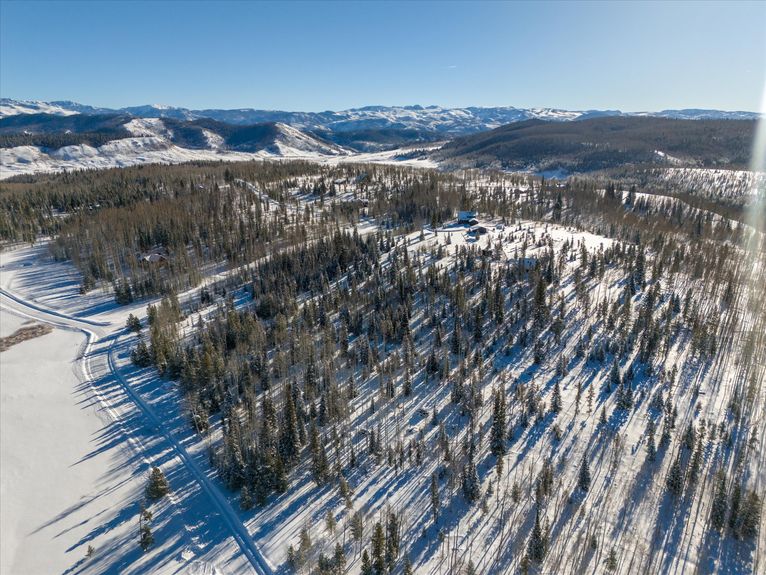 01-59100 Button Willow Drive