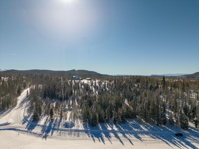 02-59100 Button Willow Drive