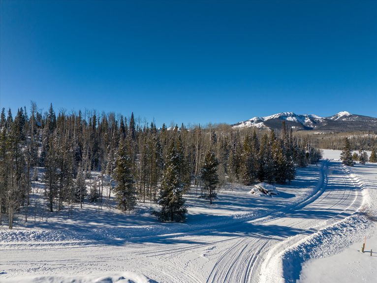 03-59100 Button Willow Drive