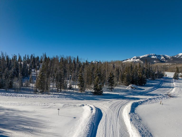 04-59100 Button Willow Drive