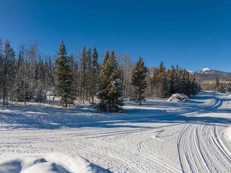 05-59100 Button Willow Drive