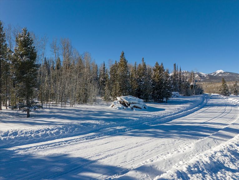 06-59100 Button Willow Drive